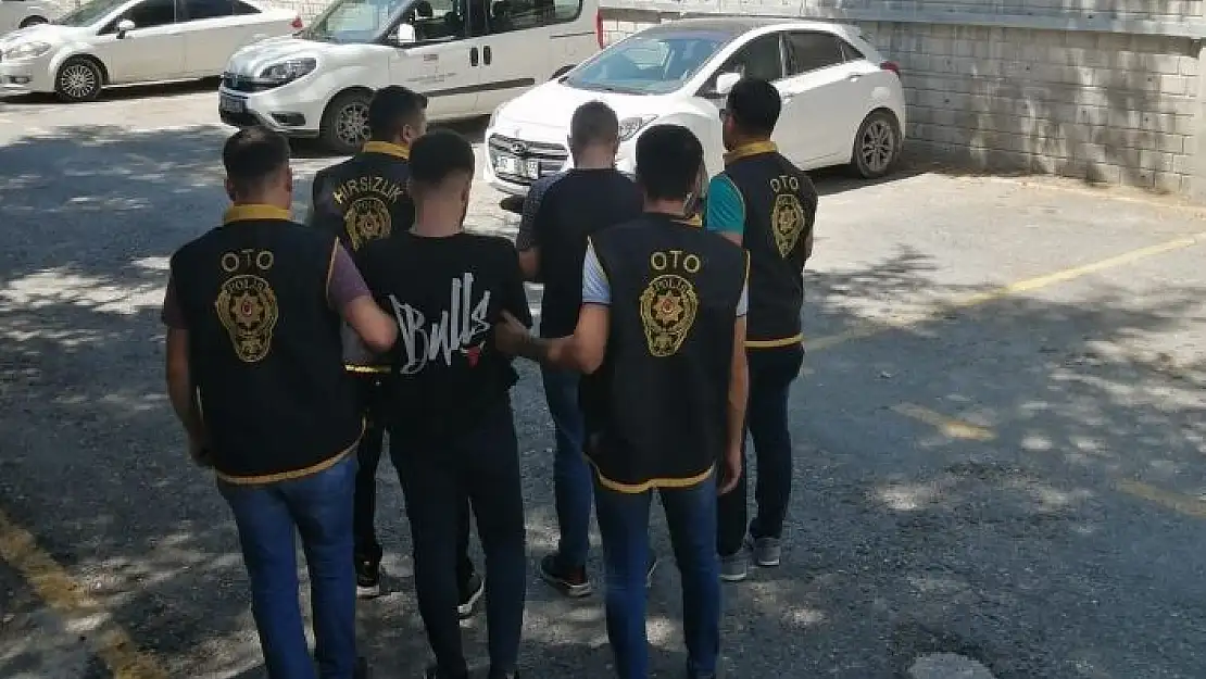 'Kayısı hırsızları tutuklandı'