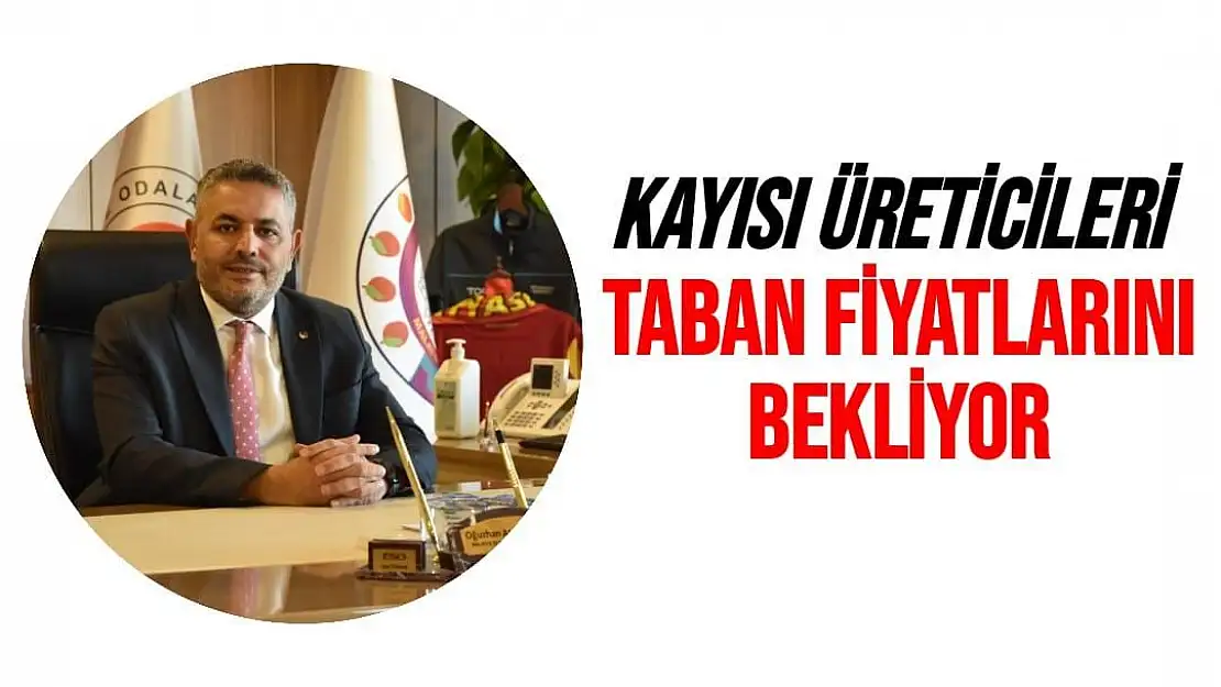 Kayısı üreticileri taban fiyatlarını bekliyor