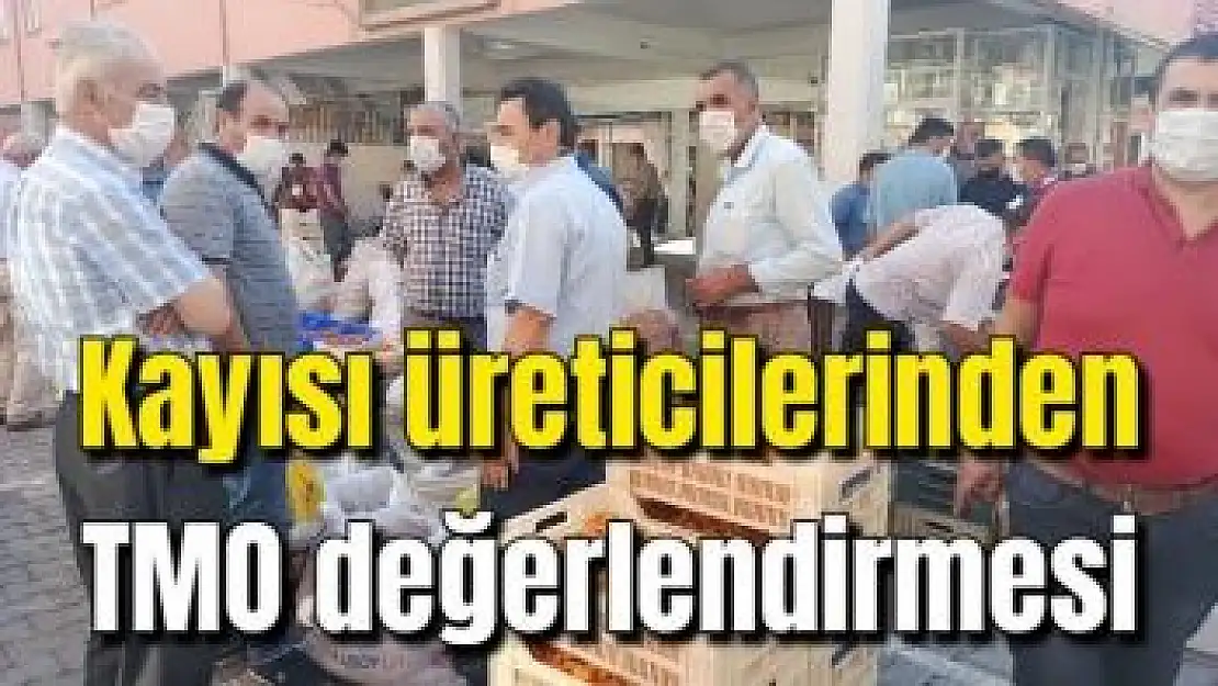 Kayısı üreticilerinden TMO değerlendirmesi