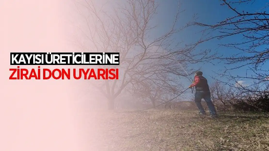 Kayısı üreticilerine zirai don uyarısı