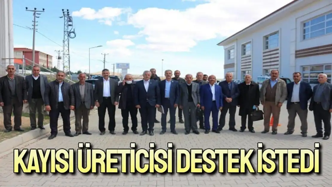 Kayısı üreticisi destek istedi