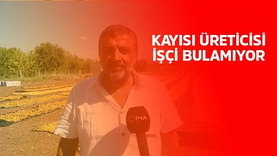 Kayısı üreticisi işçi bulamıyor