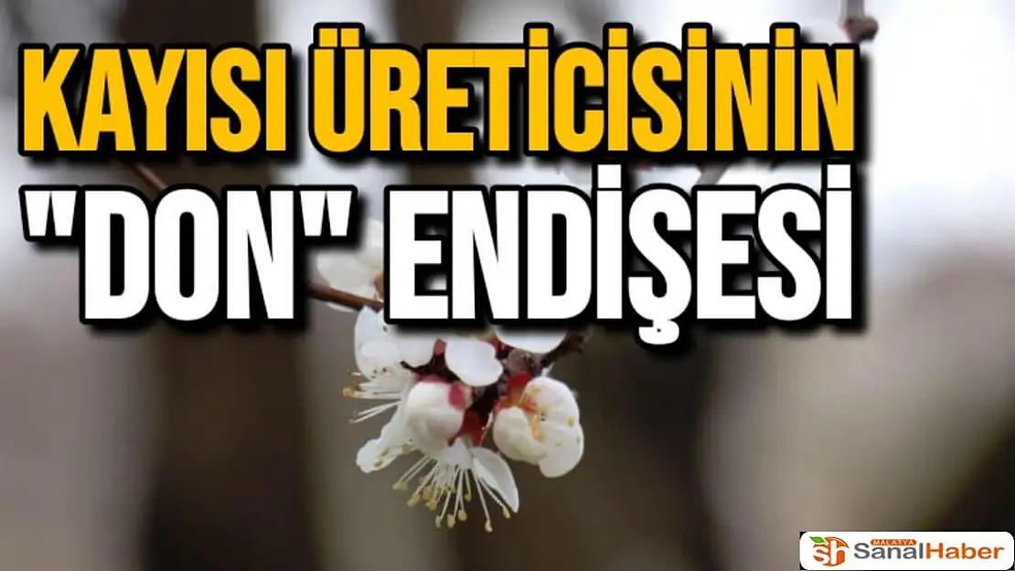 Kayısı üreticisinin `don´ endişesi