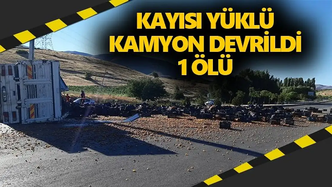 Kayısı yüklü kamyon devrildi