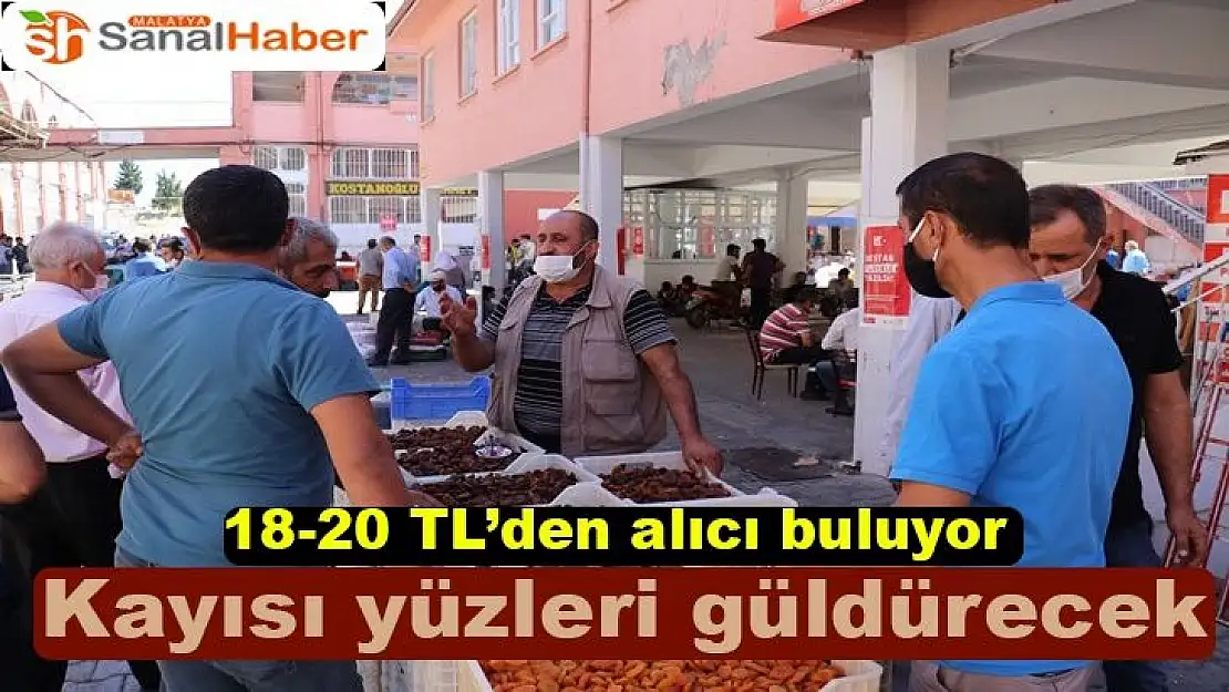  Kayısı yüzleri güldürecek