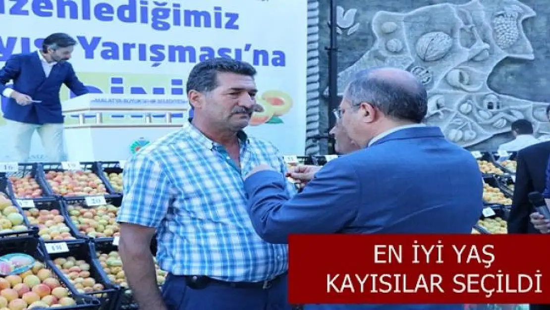 Malatya´da en iyi yaş kayısılar seçildi 