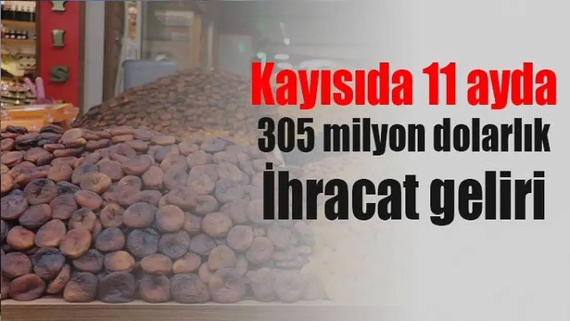 Kayısıda 11 ayda 305 milyon dolarlık ihracat geliri