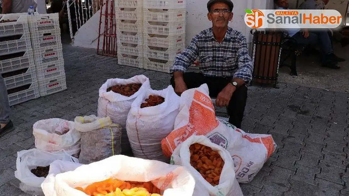 Kayısı pazara indi