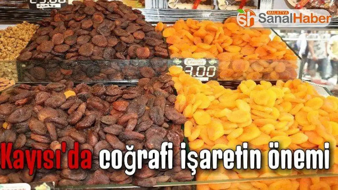 Kayısı'da coğrafi işaretin önemi