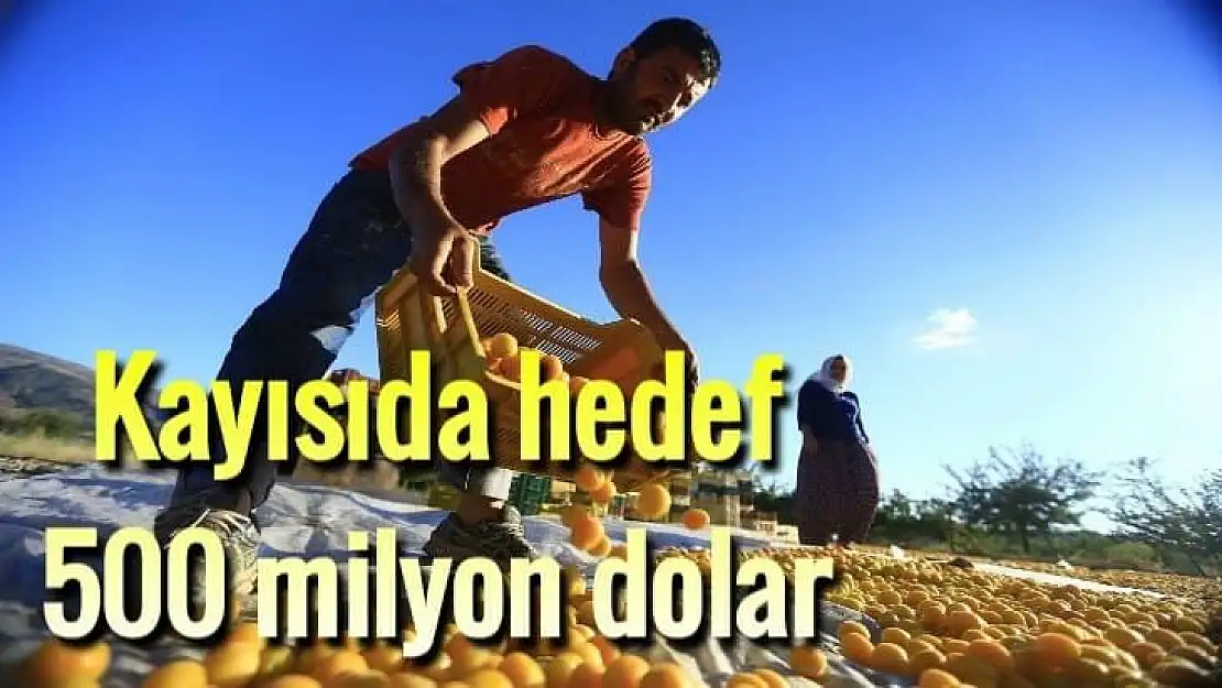 Kayısıda hedef  500 milyon dolar