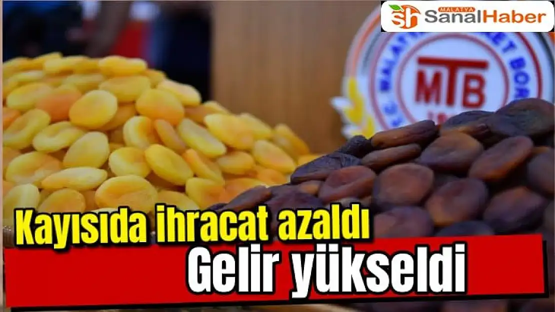 Kayısıda ihracat azaldı, gelir yükseldi