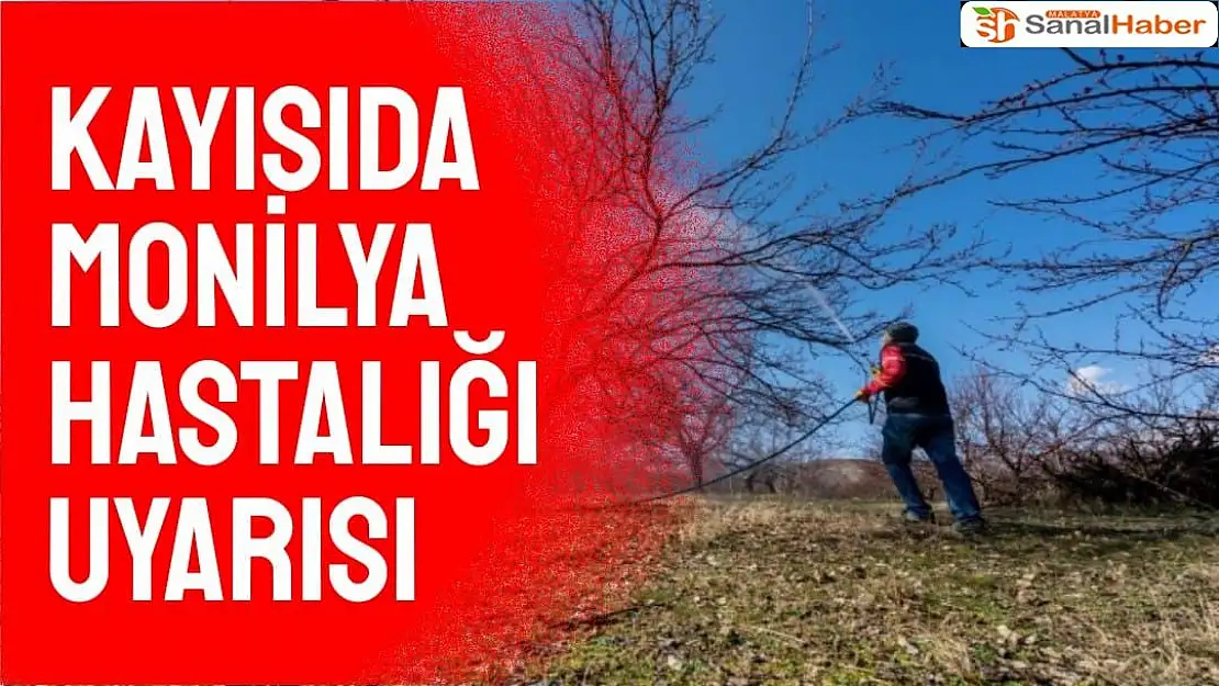 Kayısıda monilya hastalığı uyarısı