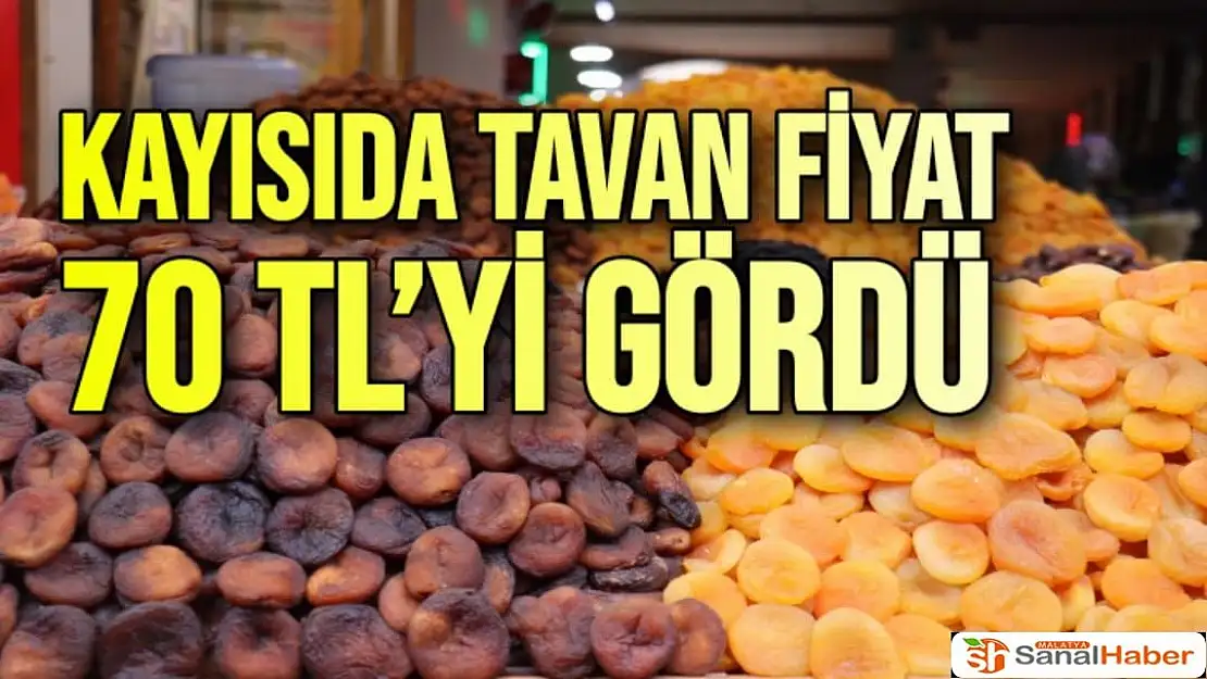 Kayısıda tavan fiyat 70 TL´yi gördü