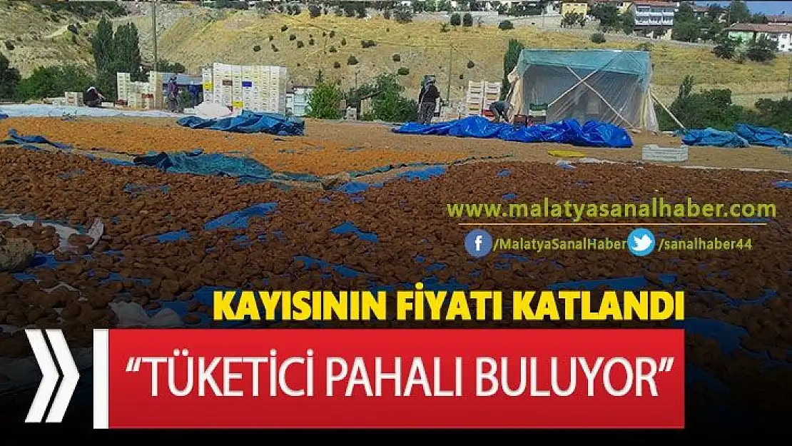 Kayısının fiyatı katlandı