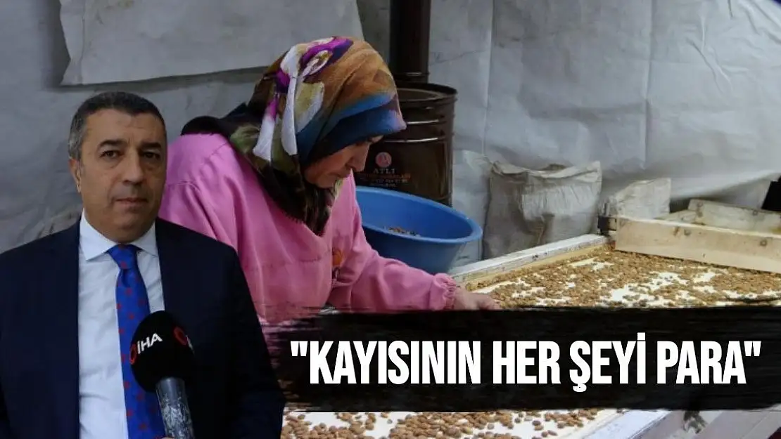 Kayısının her şeyi para