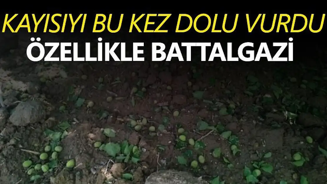 Kayısıyı bu kez dolu vurdu