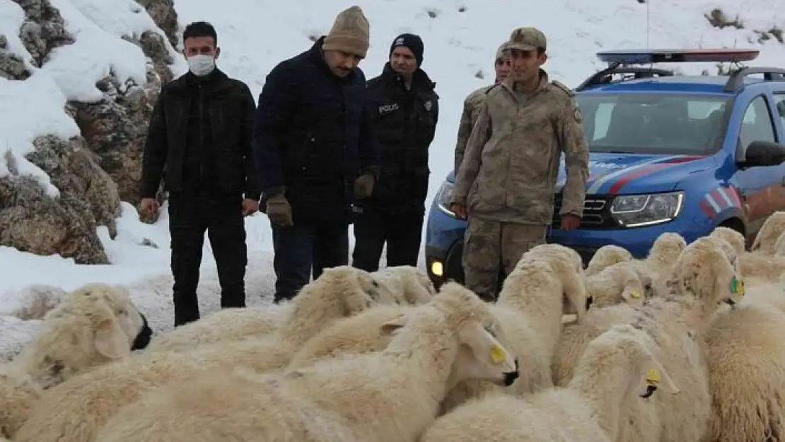 'Kaymakam Türkoğlu, karlı yolları açma çalışmalarını denetledi'