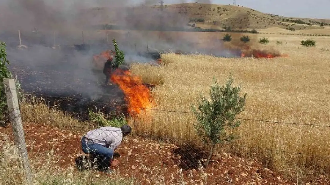 'Kaza sonrası buğday tarlaları cayır cayır yandı'