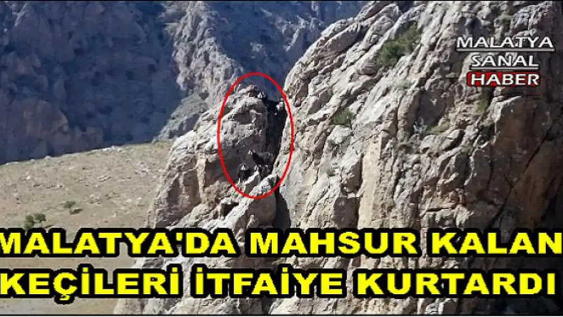 MALATYA'DA MAHSUR KALAN KEÇİLERİ İTFAİYE KURTARDI