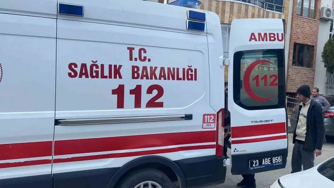 'Kediye çarpmamak için kaza yaptı: 1 yaralı'