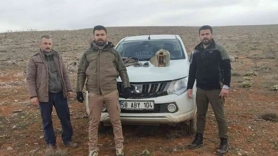 'Kekliklerin neslini tehlikeye sokan yasa dışı ava 25 bin lira ceza'