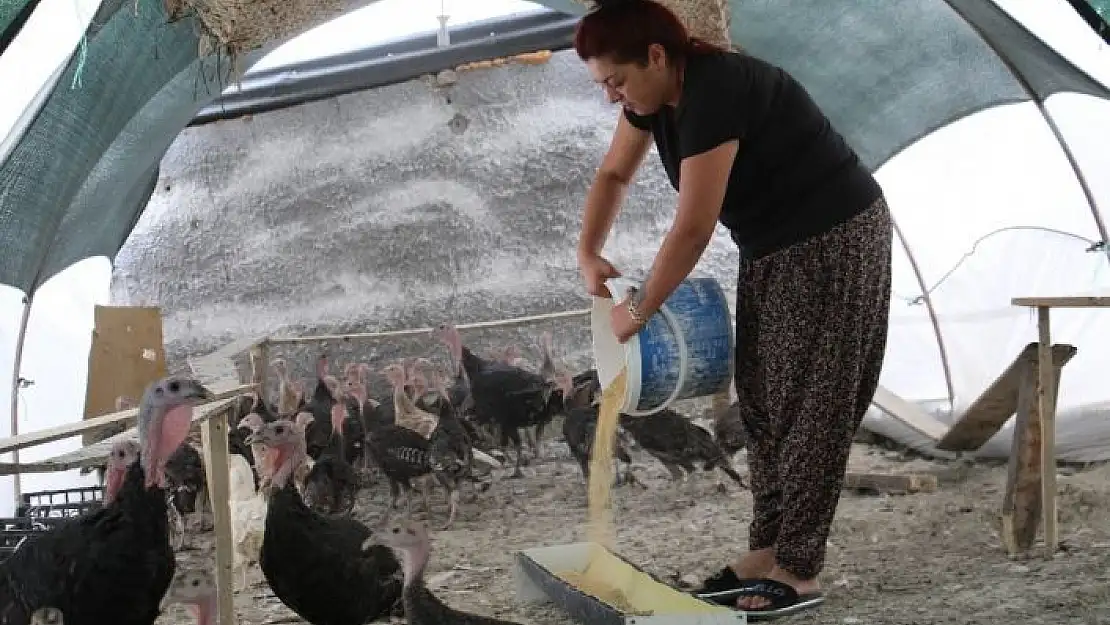 'Kendi çiftliğini kurdu, bir yılda 200 bin adet tavuk ve hindi satışı yaptı'