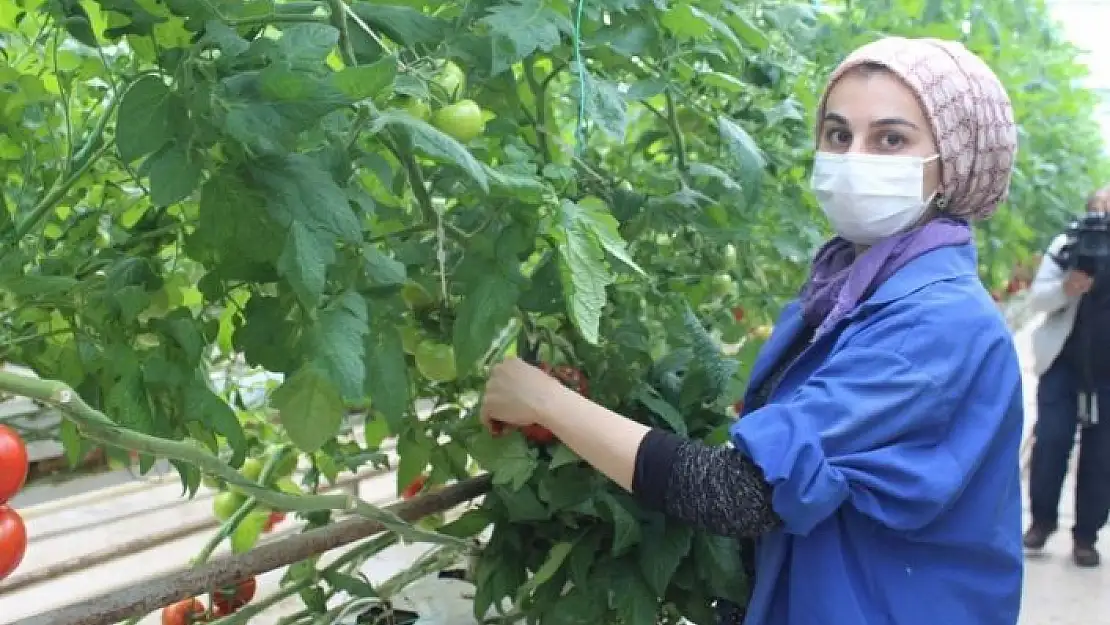 'Kendi günlerinde çalışan tarım işçisi kadınlar unutulmadı'