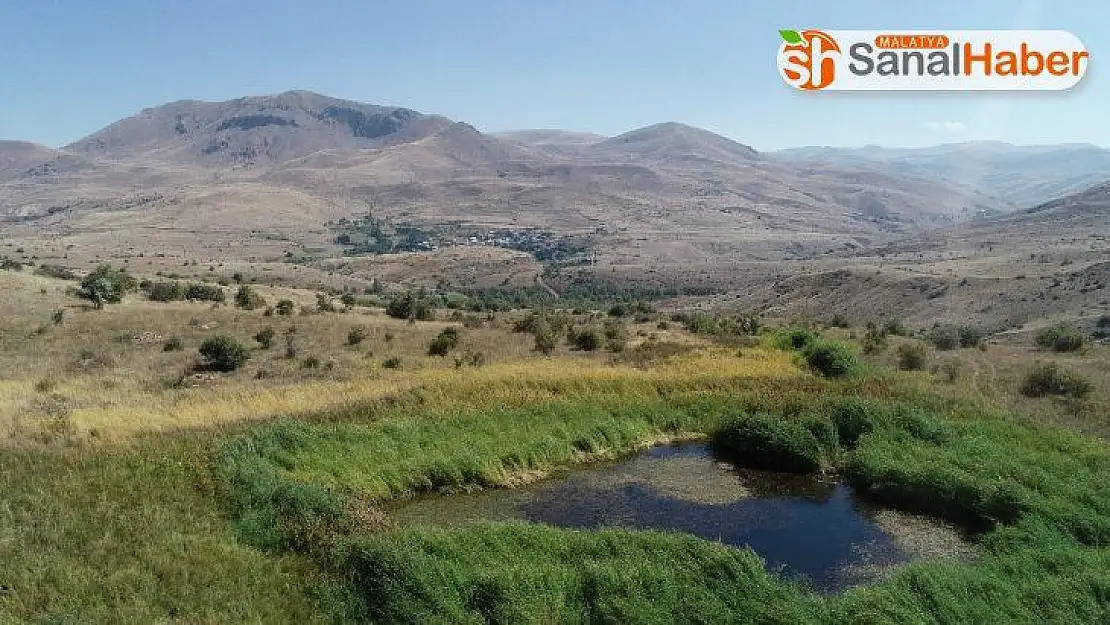 Keşfedilmeden yok oluyor