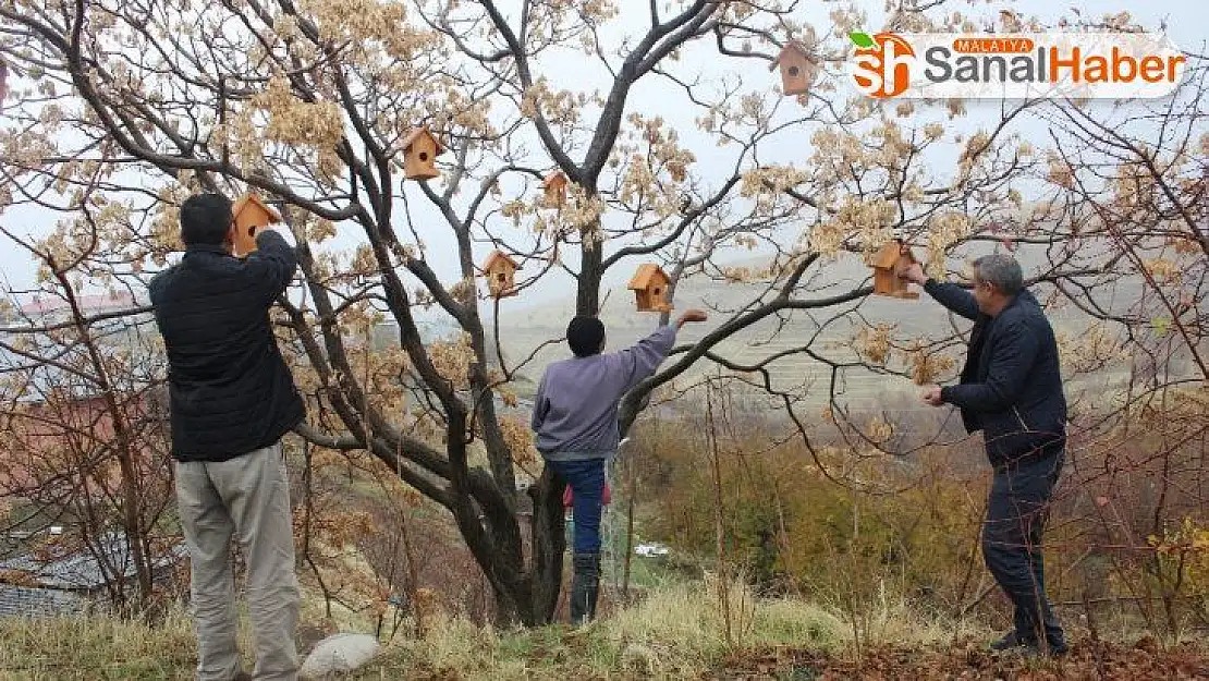 Kışın 12 hane kalan köyde, kuşlar üşümesin diye 350 kuş evi asıldı