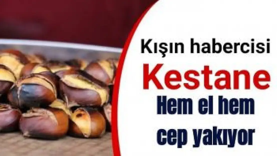 Kışın habercisi kestane hem el hem cep yakıyor