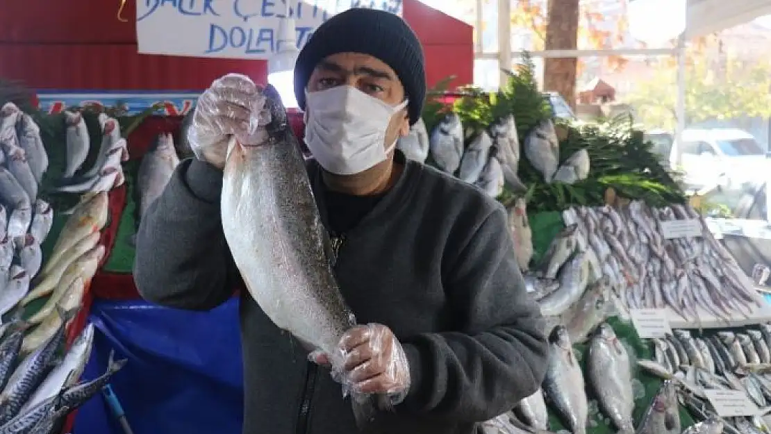 'Kısıtlamada vatandaşlardan balıklara yoğun ilgi'