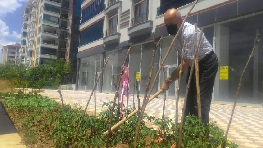 'Kısıtlamayı fırsat bildi, apartman önünü hobi bahçesi yaptı'