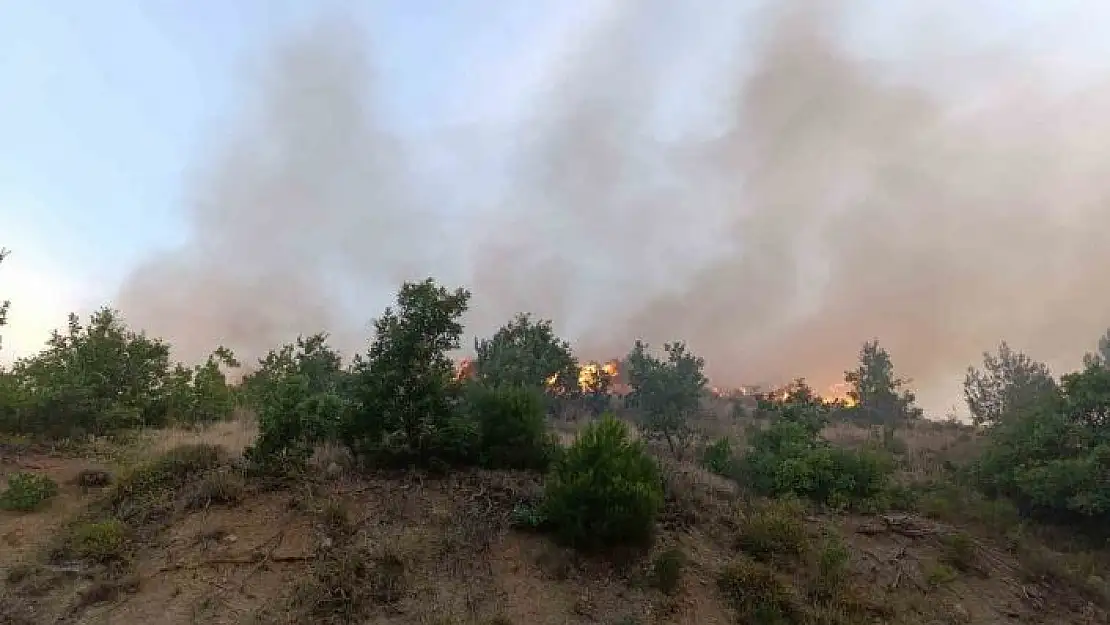 'Kızılçam ormanında korkutan yangın'