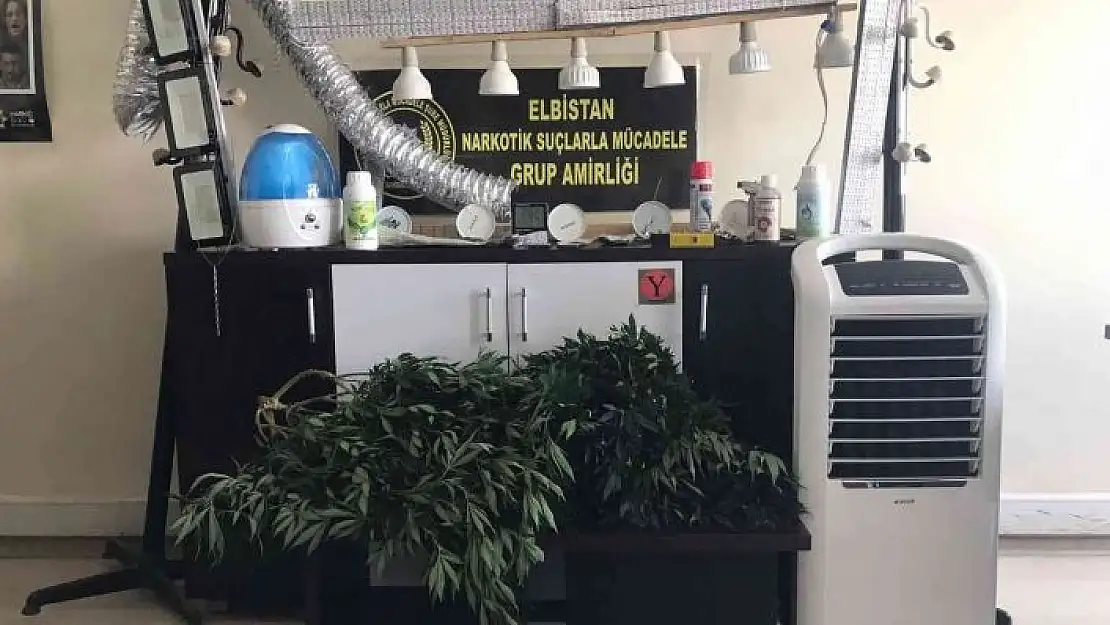 'Klimalı seraya çevirdiği banyoda 4 mevsim uyuşturucu yetiştirmiş'