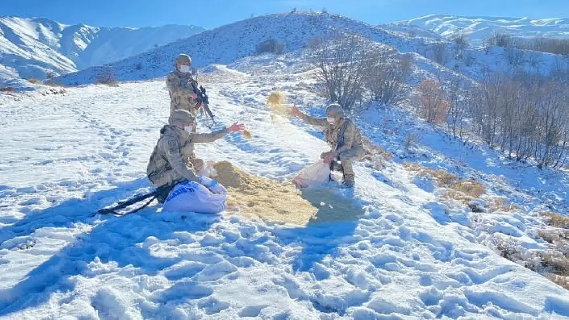 'Komandolar, doğaya yem bıraktı'