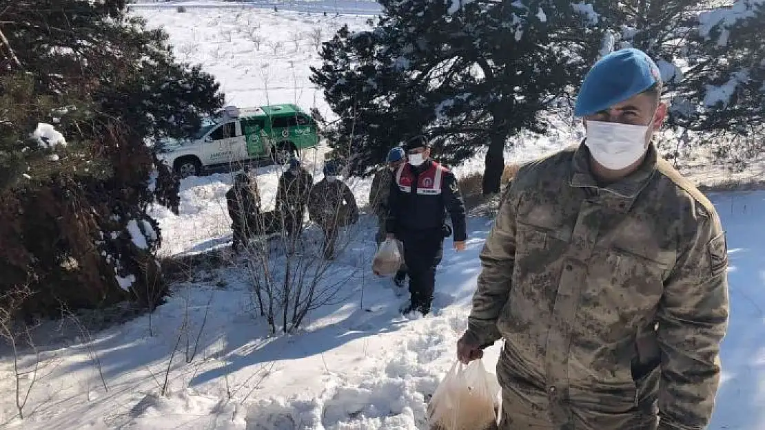 'Komandolar yaban hayvanlarını unutmadı'