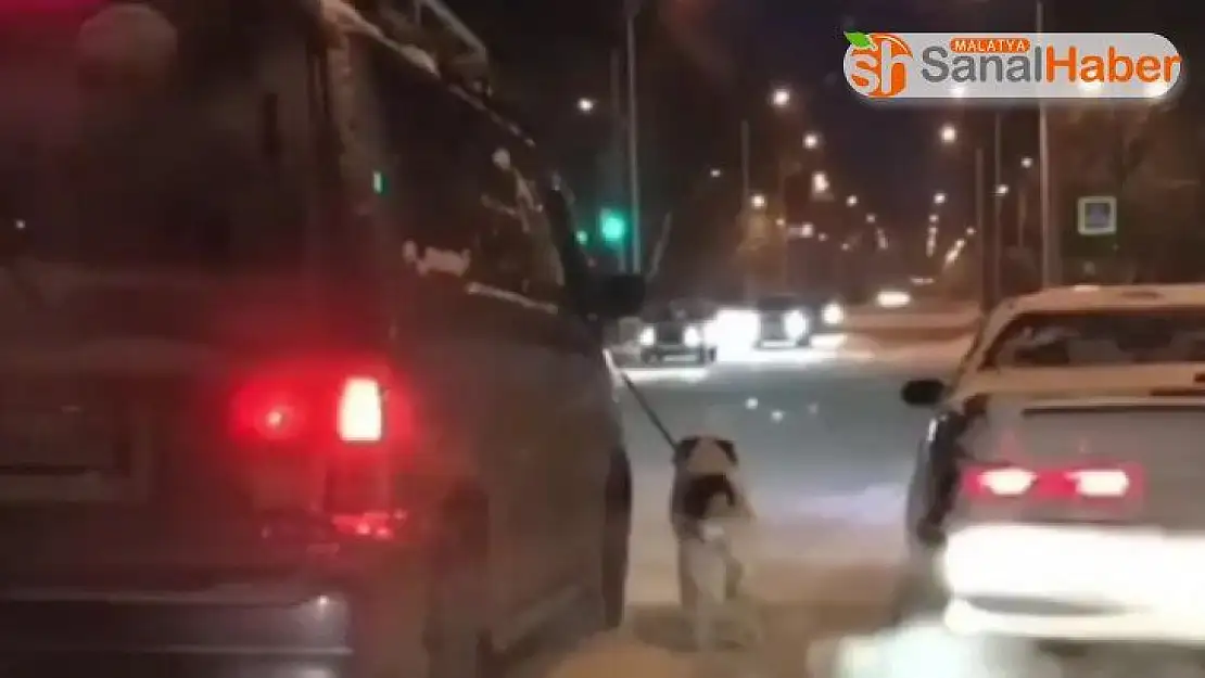 Komşusuna kızdı, köpeğini buz tutan yolda yürüttü