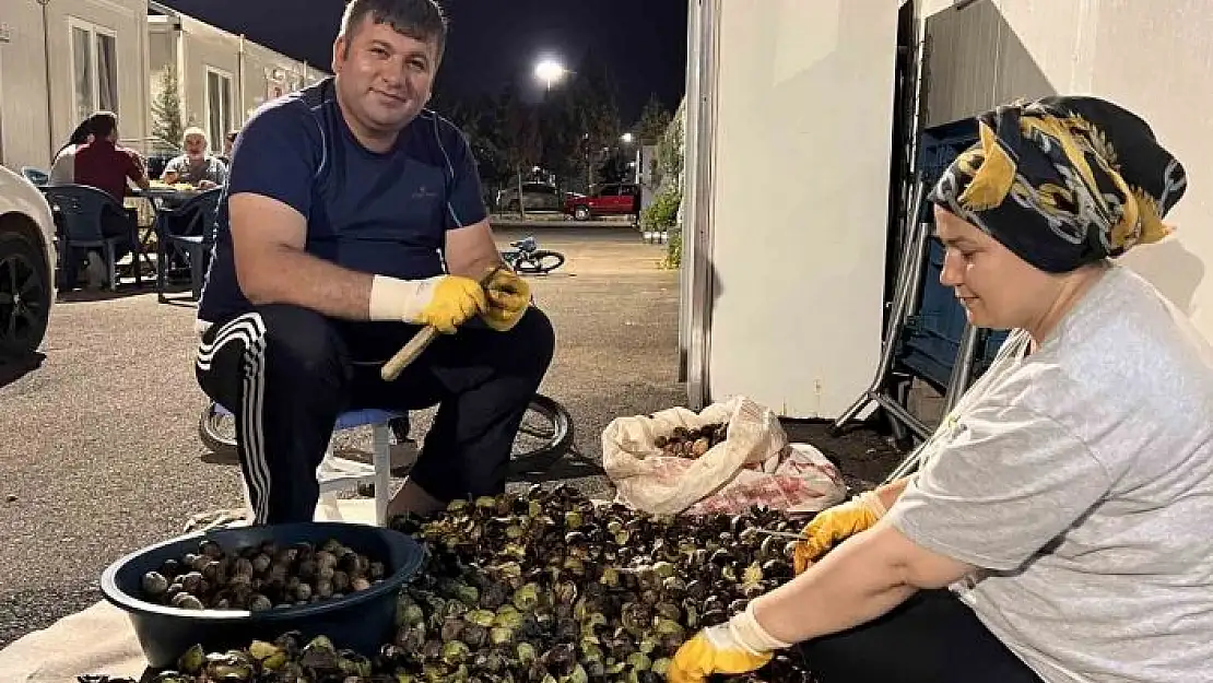 'Konteyner kentte kışlık telaşı'