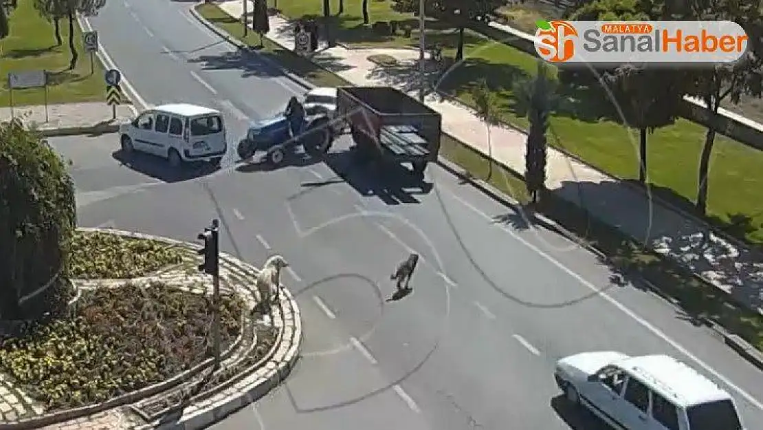 Köpeğe çarpmamak için durdu, traktör ona çarptı, kaza anları kamerada
