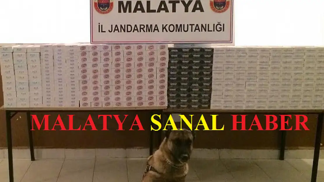 KAÇAKÇILARA GEÇİT YOK