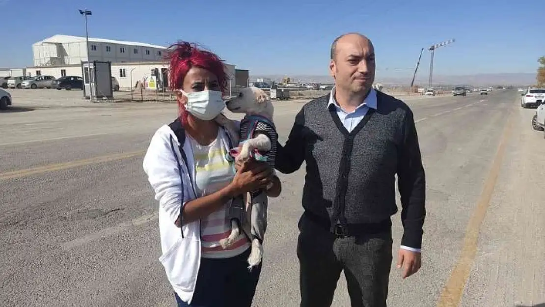 'Köpekleri poşetleyip bagaja koyan çalışanın iş akdi fesih edildi'