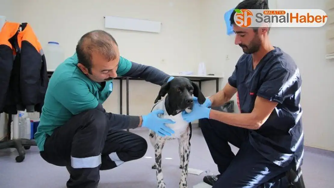 Korkunç görüntüler Sivas'ta çekilmemiş