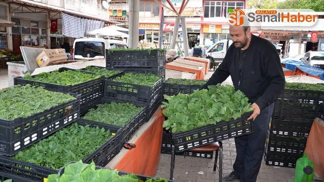 Korona virüs fide satışlarını da düşürdü