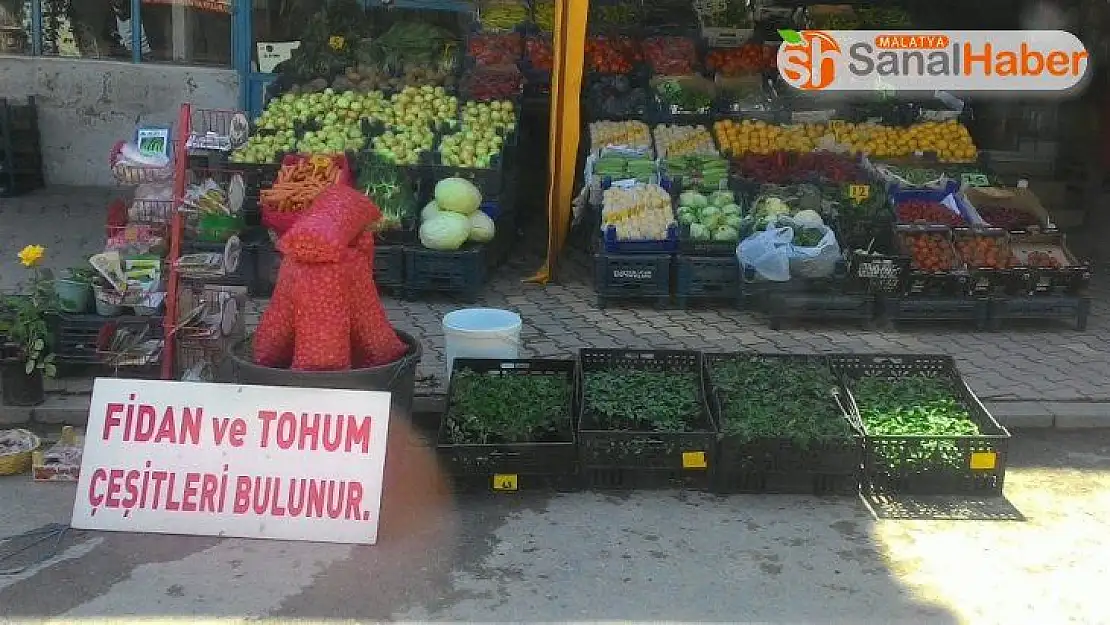 Korona virüs sürecinde sebze fidelerini dikme dönemi