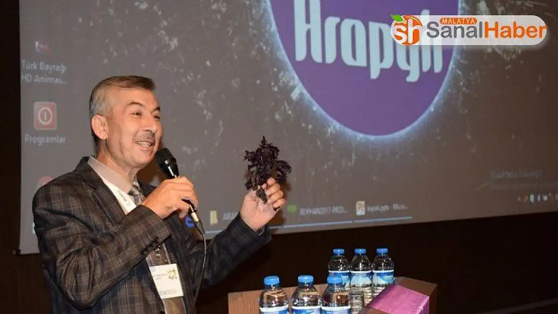 Koronavirüs reyhan satışlarını ikiye katladı
