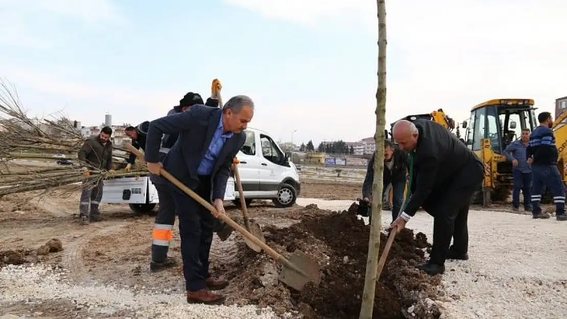 'Koru Parkta ağaç dikimine başlandı'