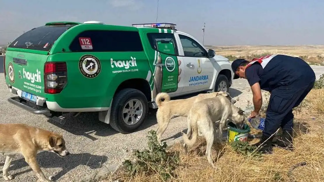 'Koruma timi 6 ayda 57 olaya müdahale etti'