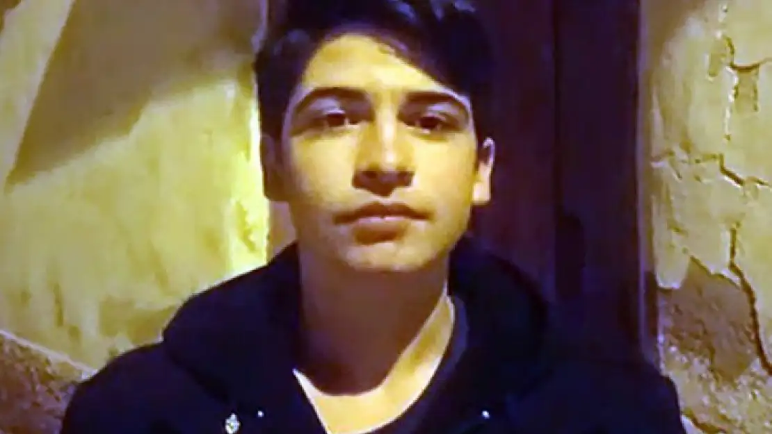 'Köye inen aç kurt sürüsü köpeği parçaladı'