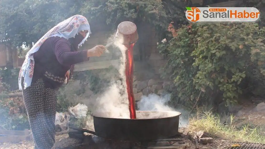 Köylerde şifa kaynağı 'Pekmez' mesaisi