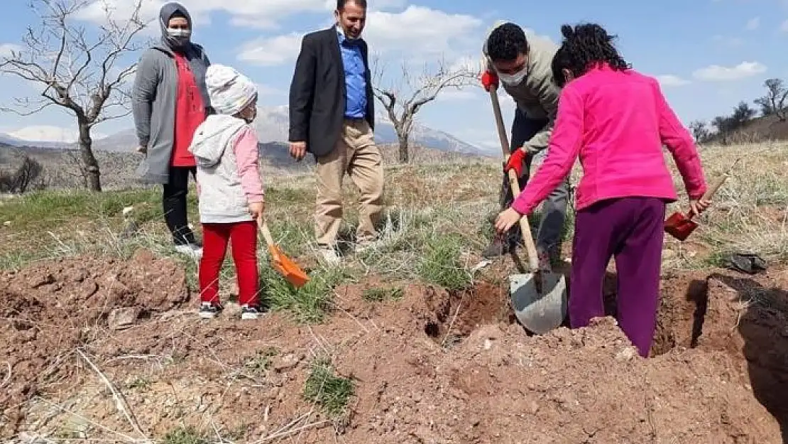 'Köylüler kendi imkanlarıyla ağaç dikti'